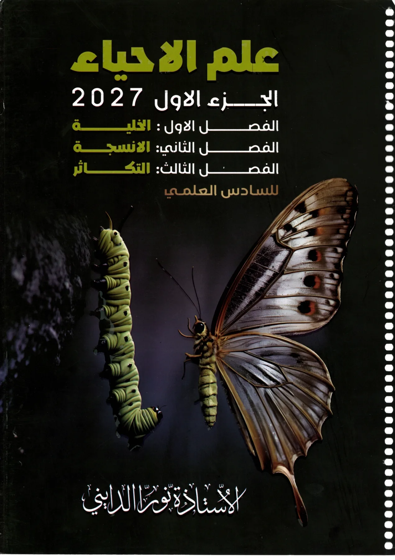 نورا الدايني الجزء الأول