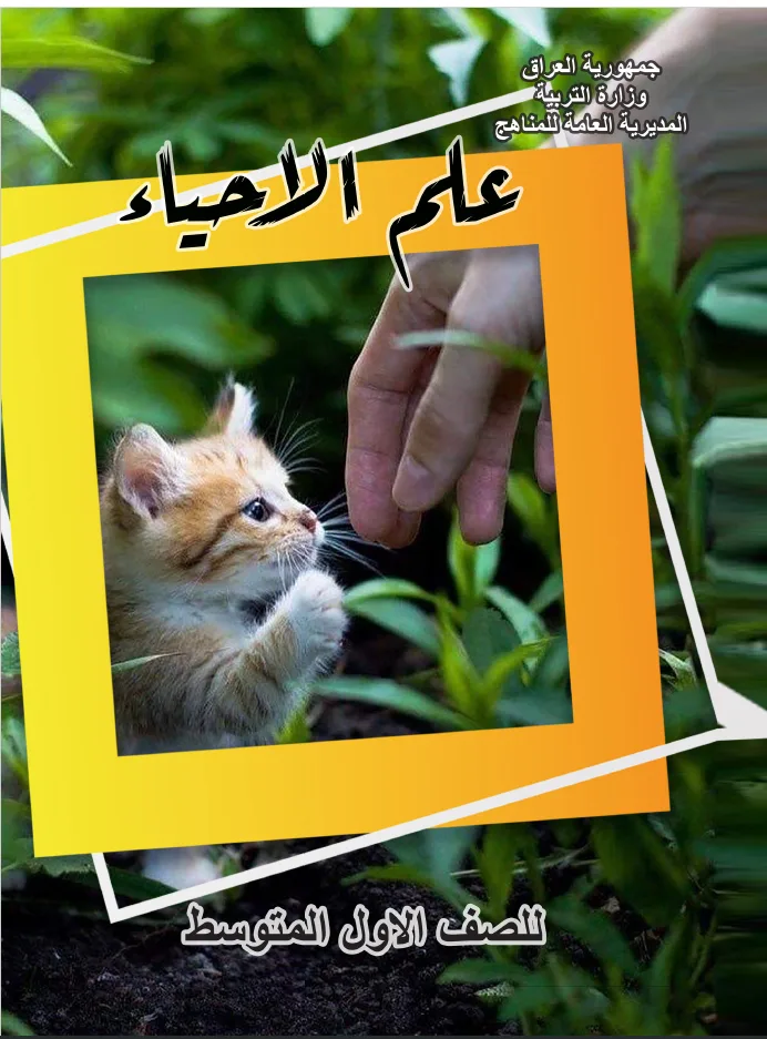 الأحياء