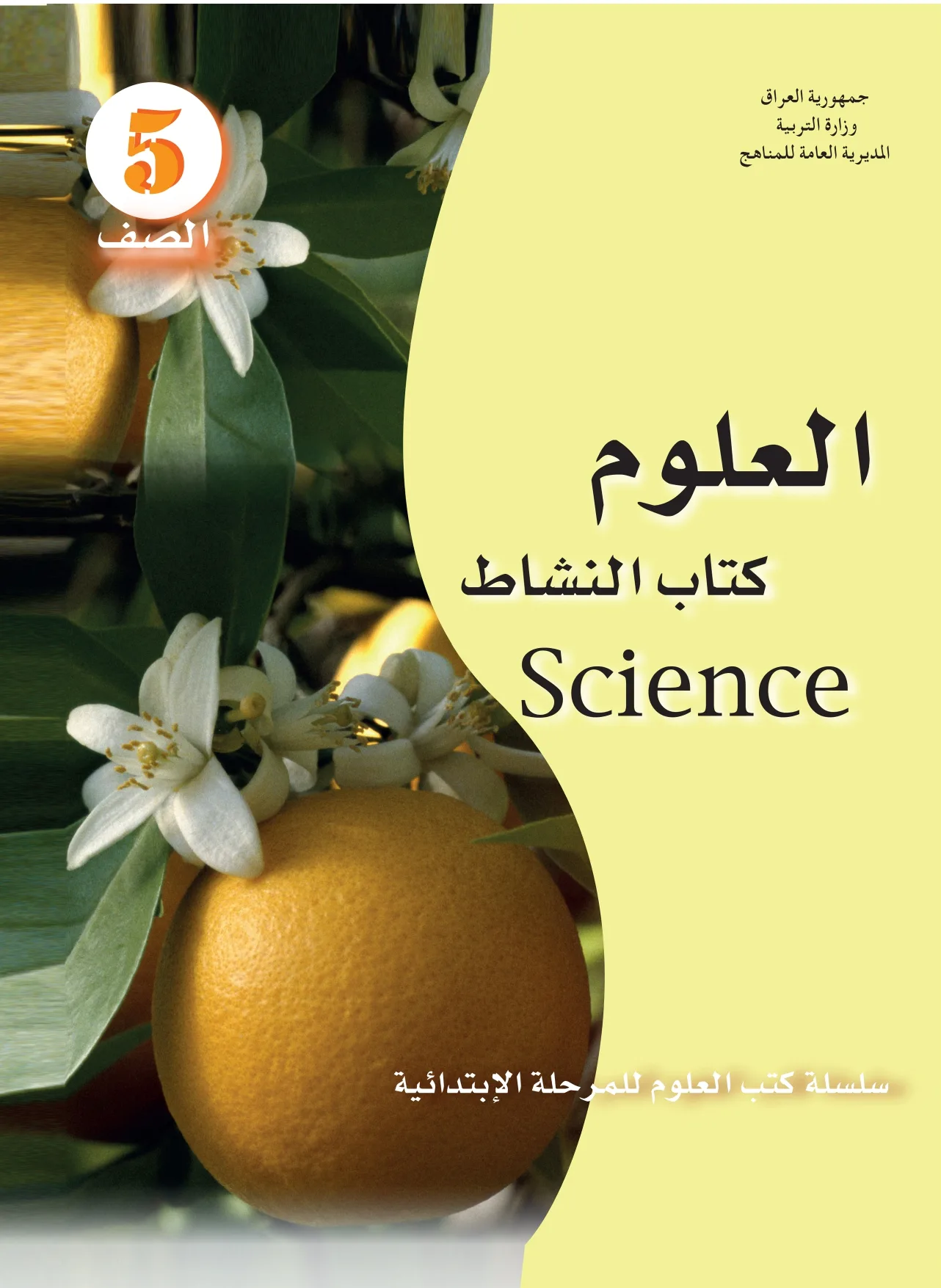 العلوم نشاط