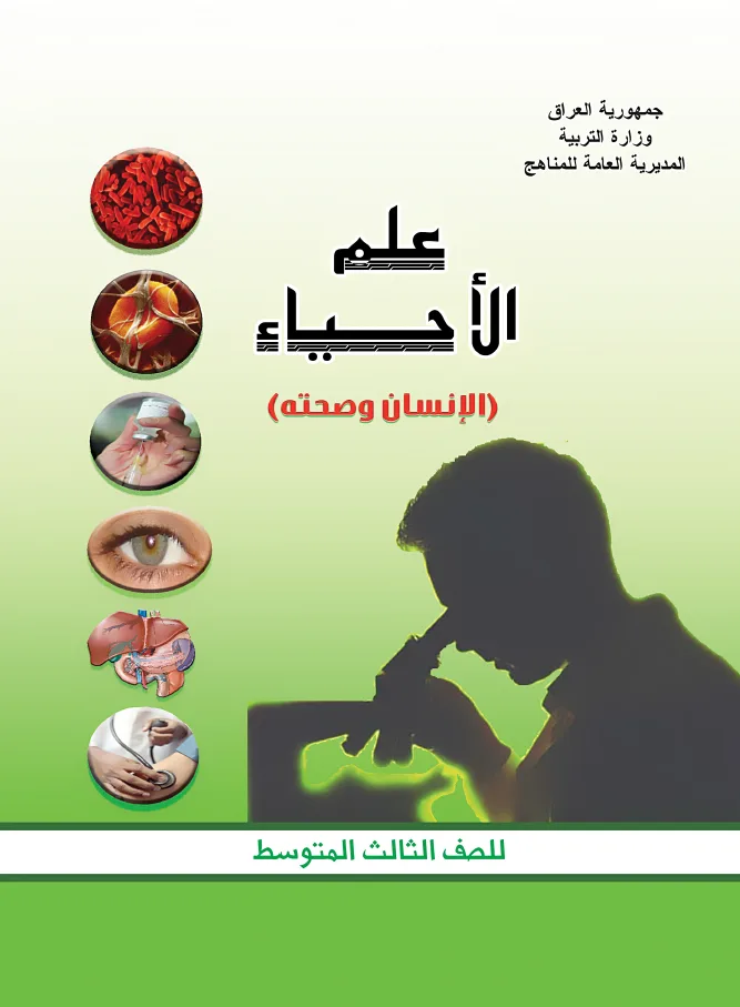الأحياء
