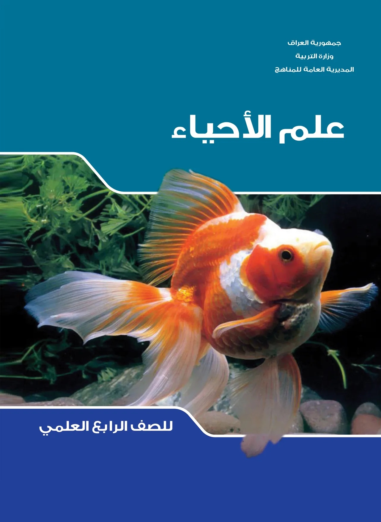 الأحياء