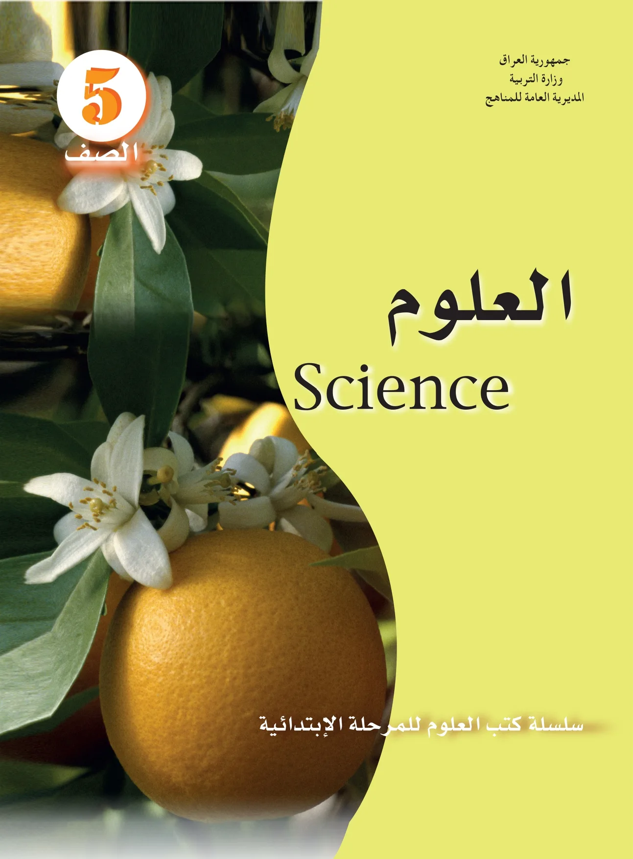 العلوم ملون